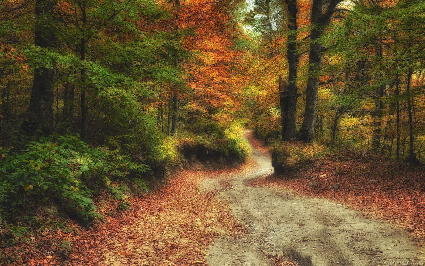 Куда ведут осенние дорожки...