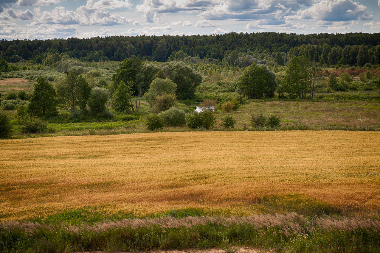 Золотой июль