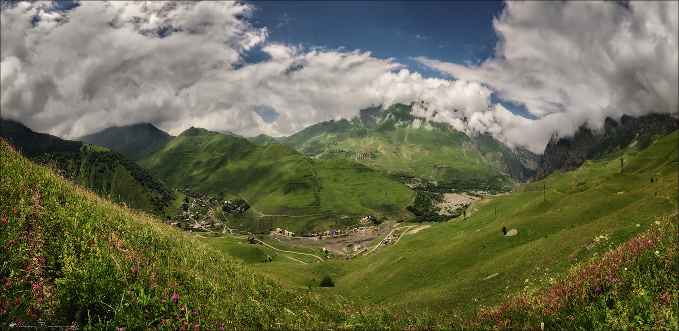 С высоты птичьего полета