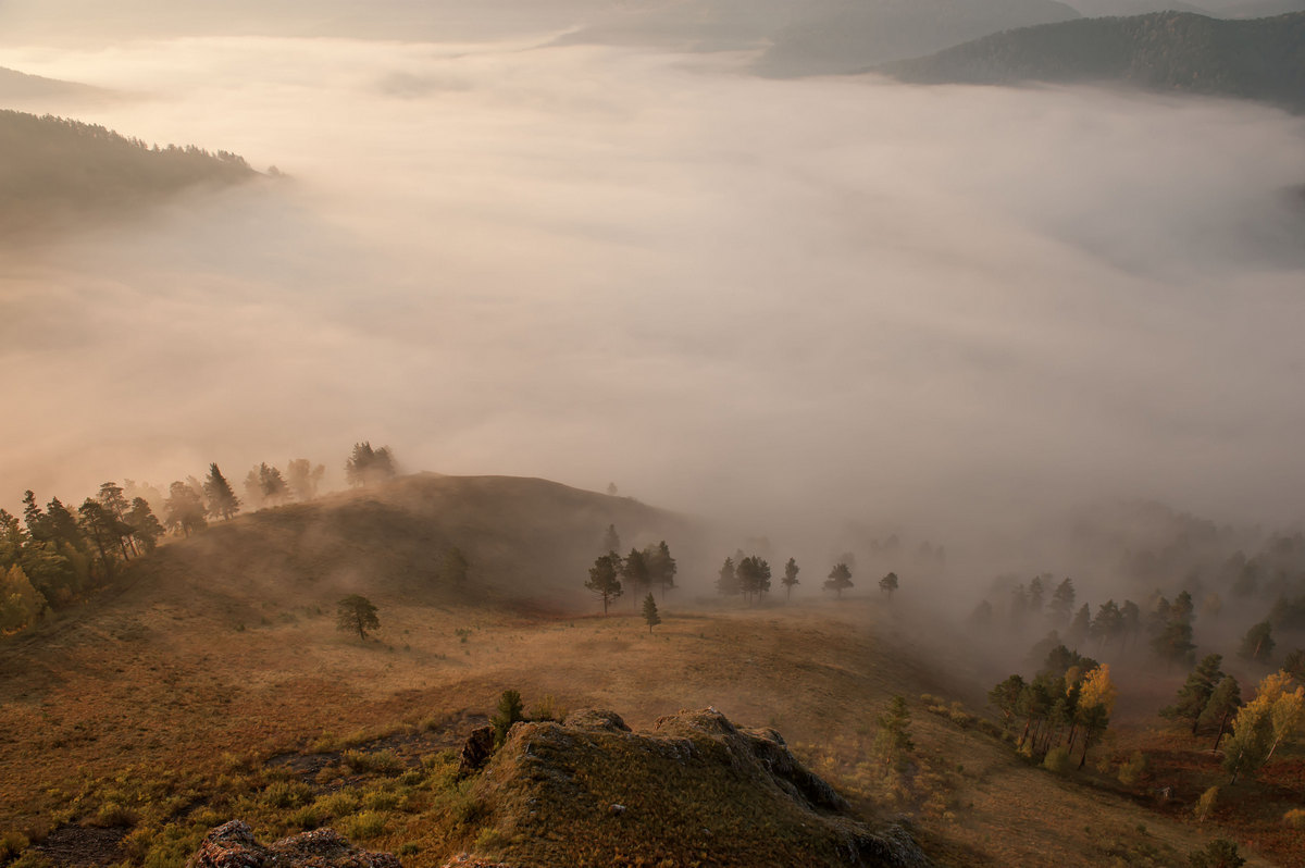 Туманный рассвет