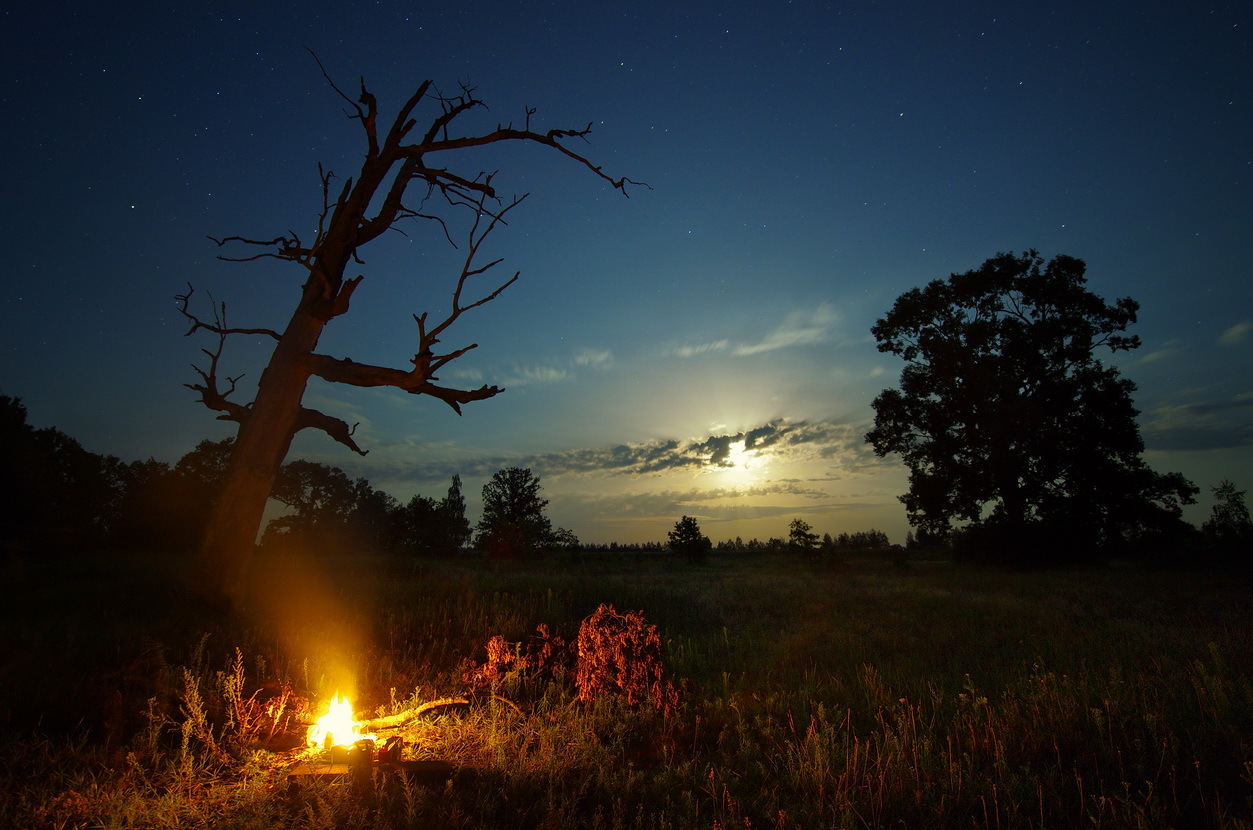 Летняя ночь