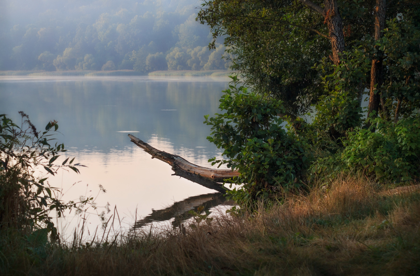 На берегу озера