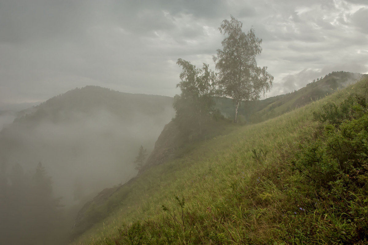 После дождя