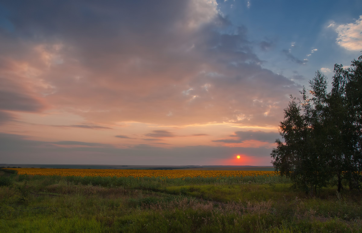 Сквозь тучи