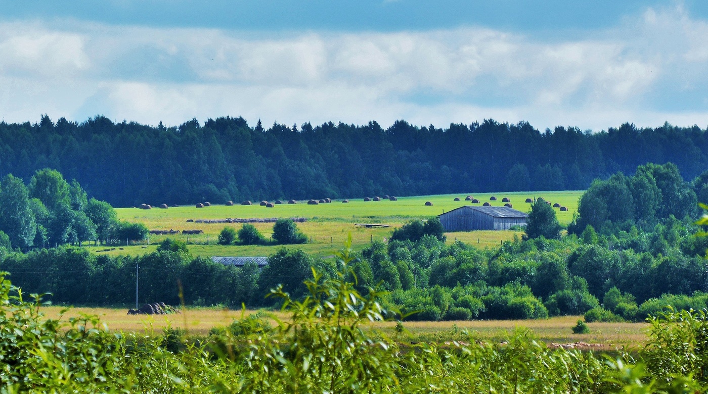 Сенокос прошел ...