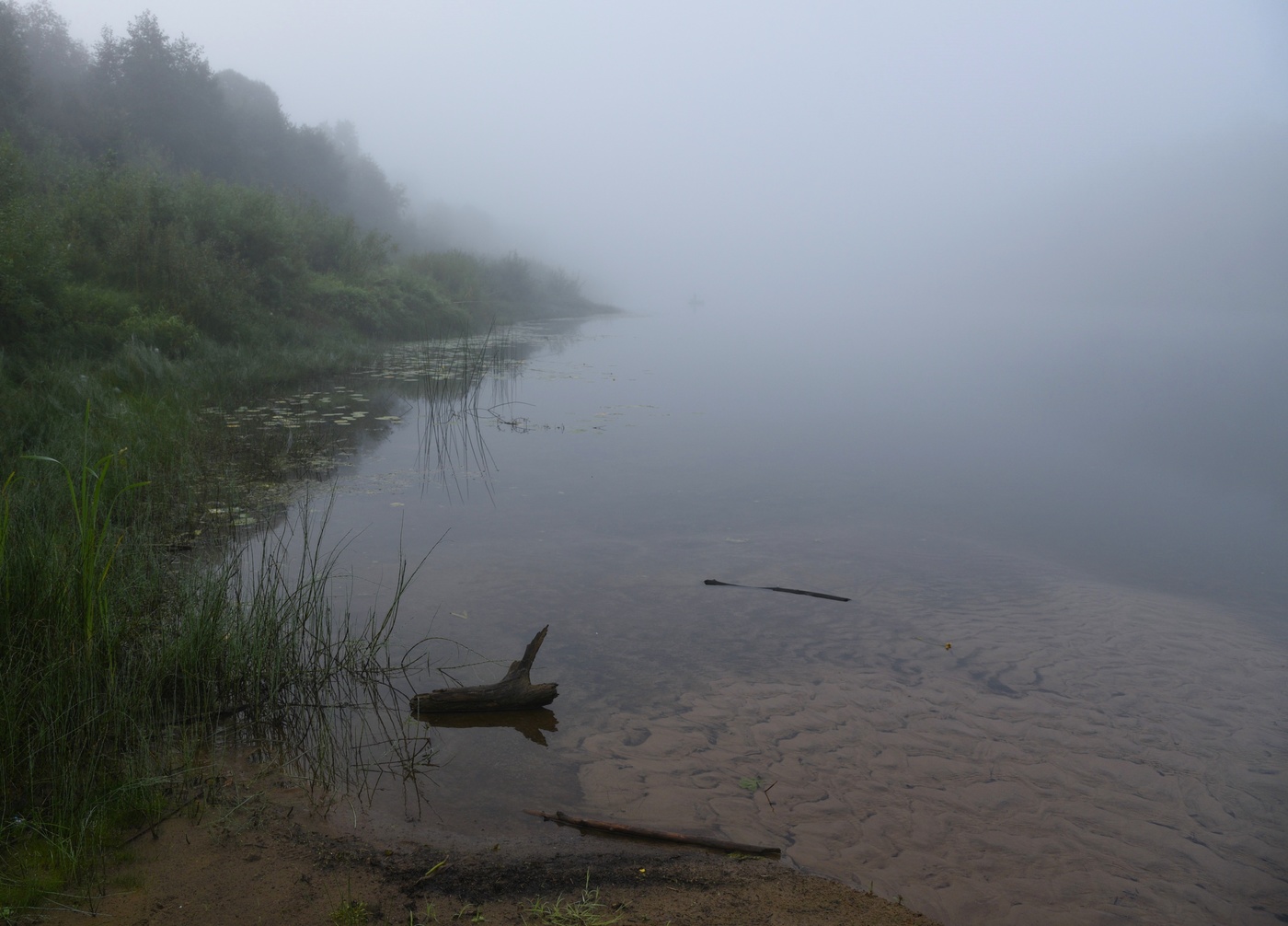 Туманные берега ...