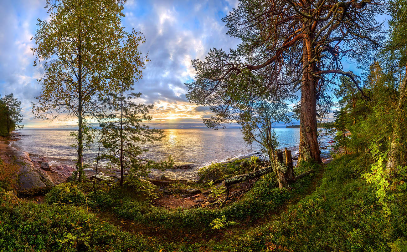 Берег Онежского озера на рассвете