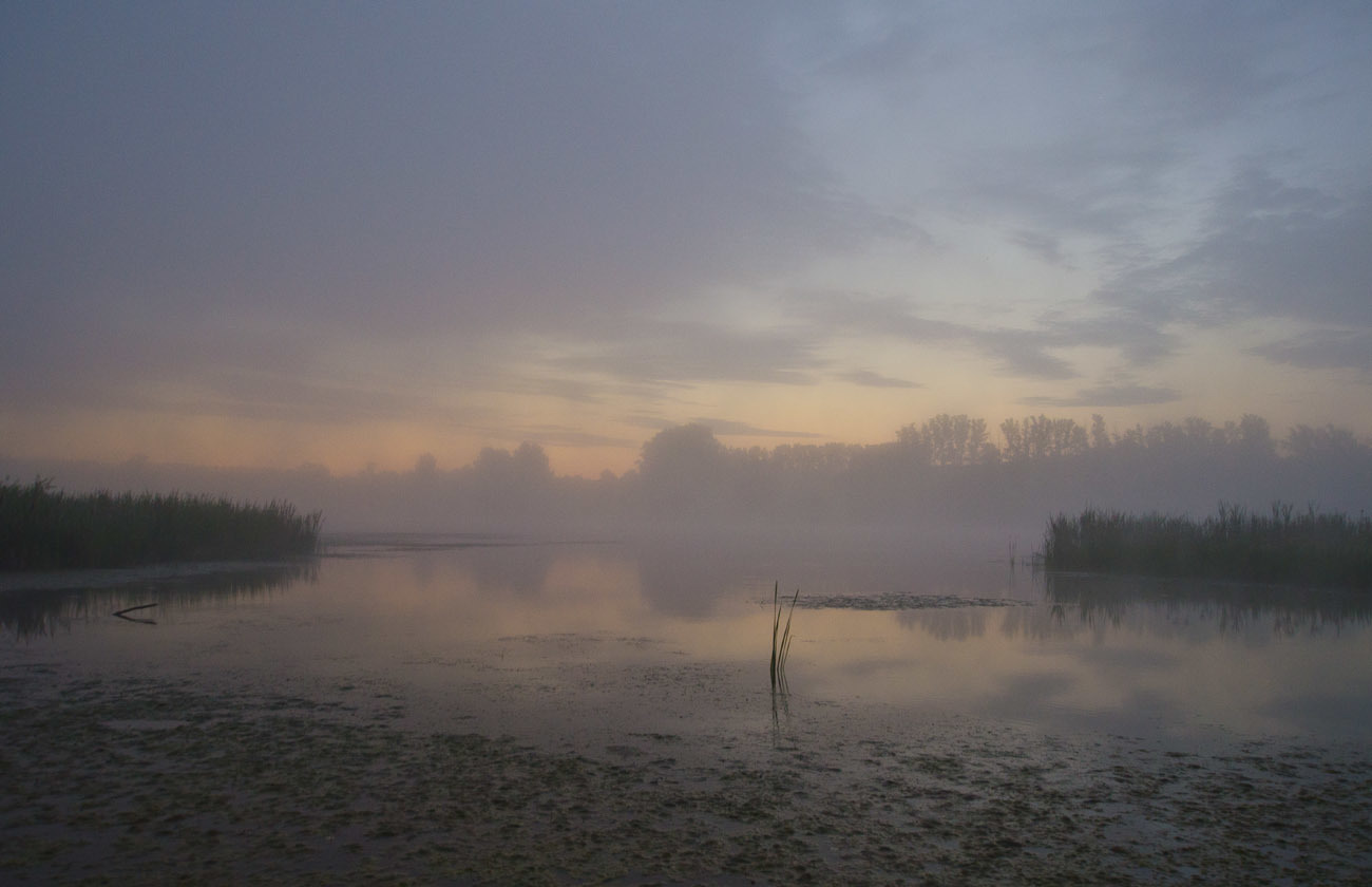 На заре, ранним утром на заре