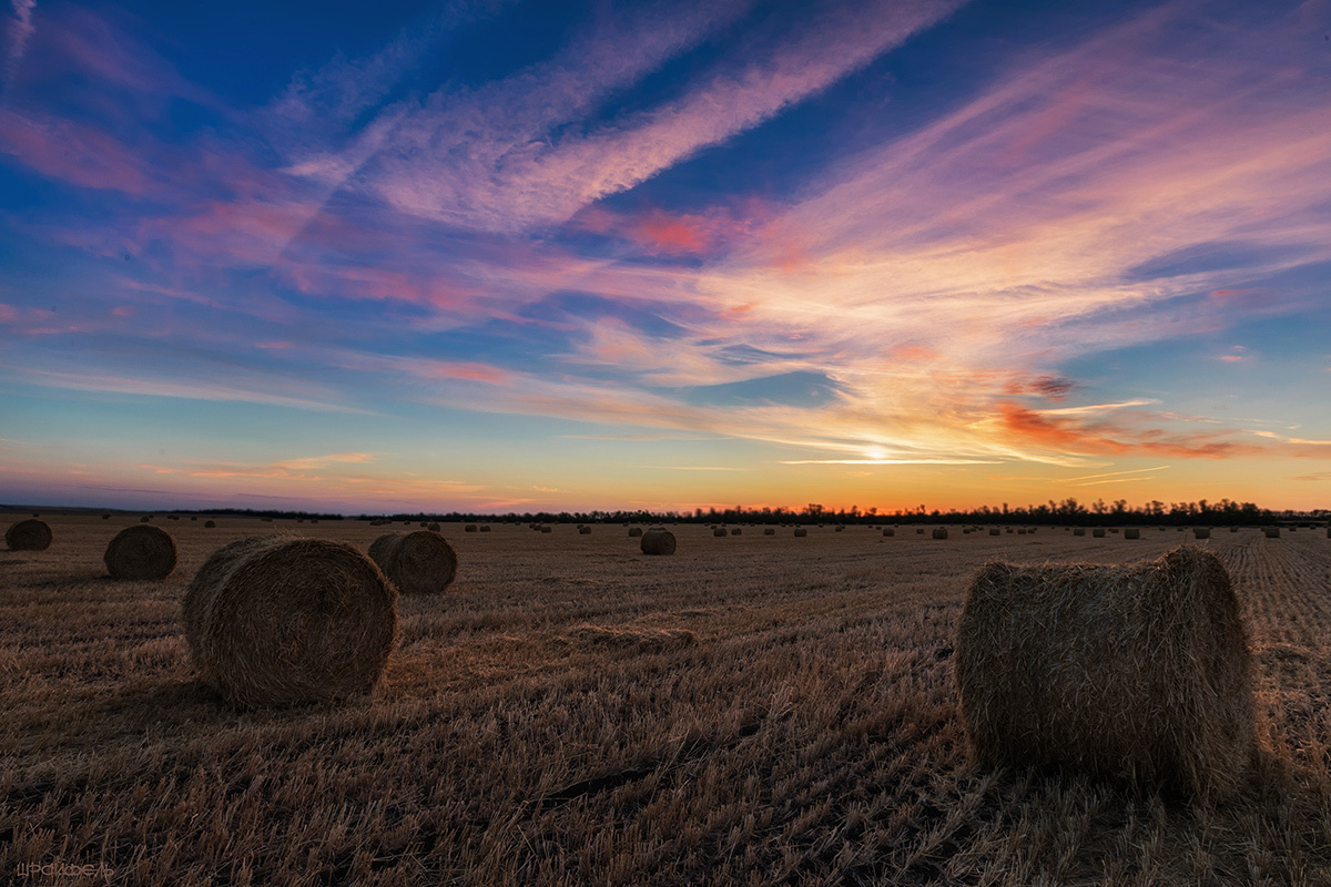 Рассвет 16 августа