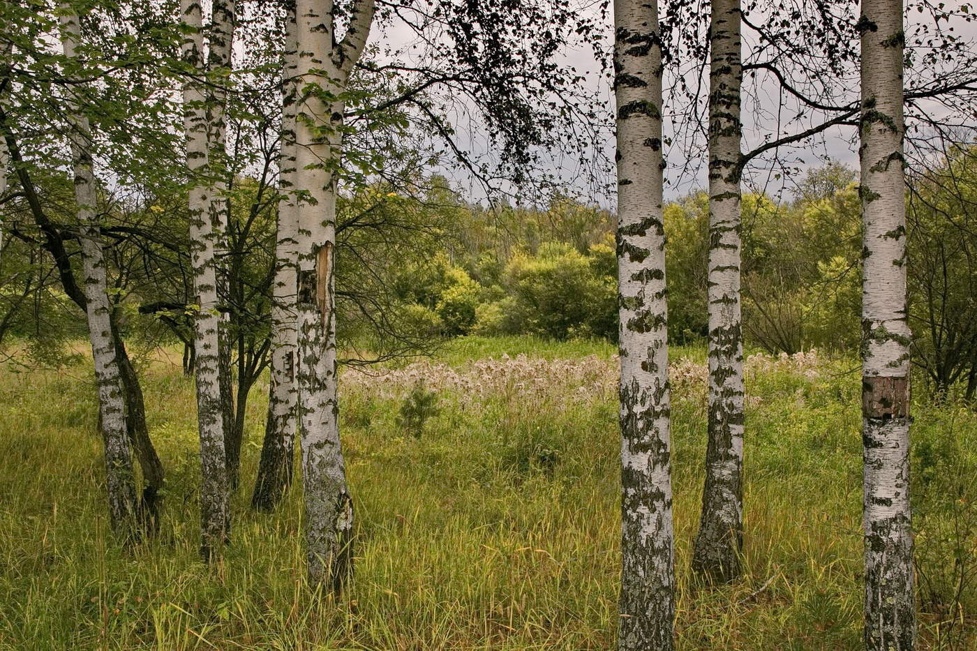 *СКОРО ОСЕНЬ.**