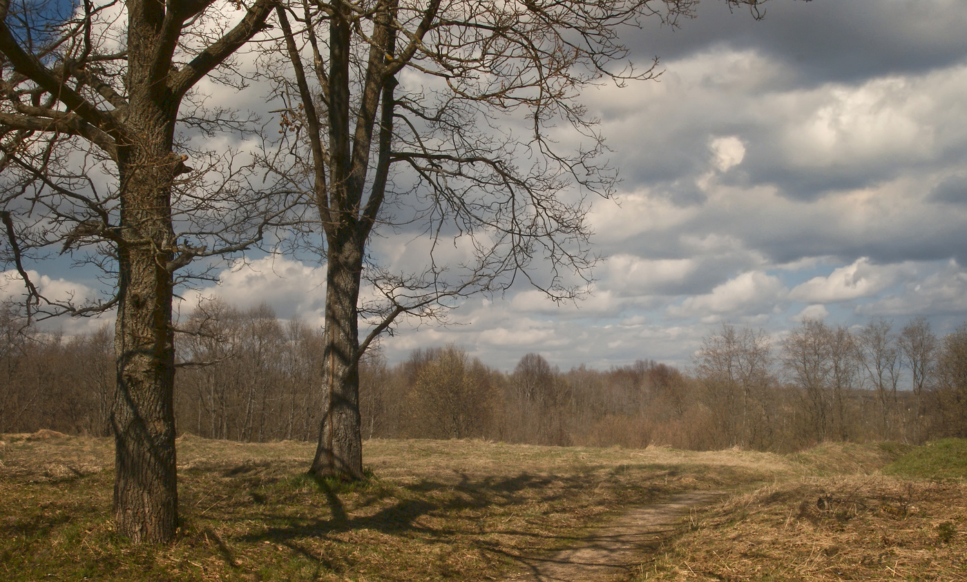 Погожий день