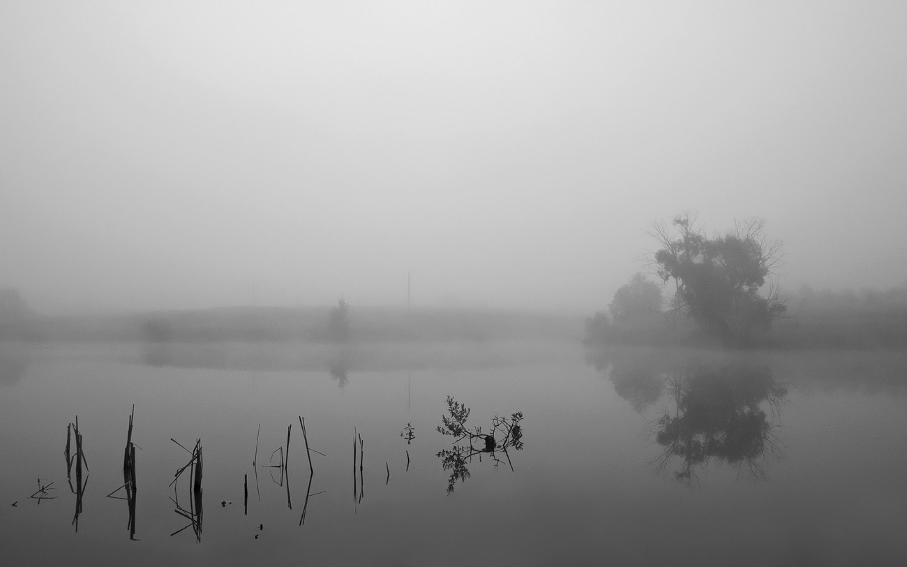 Предрассветные ритмы