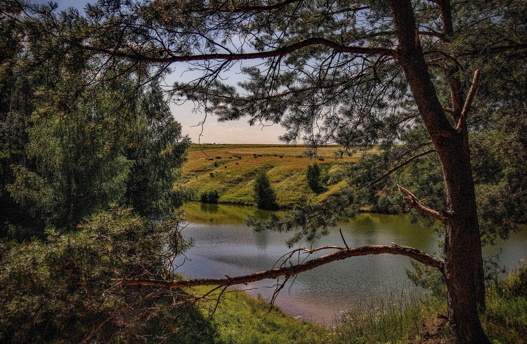 Стадо на другом берегу