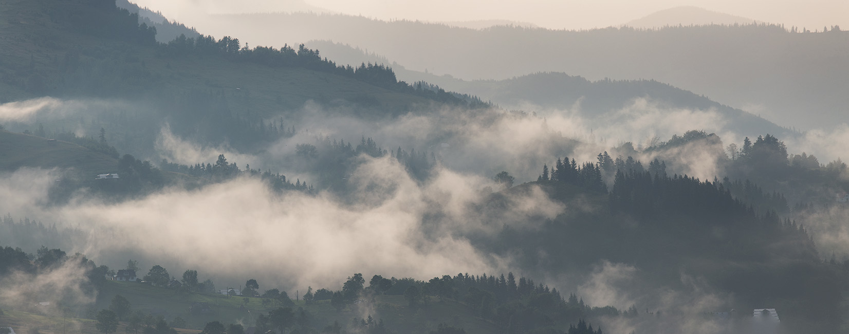 На Буковецком после бури