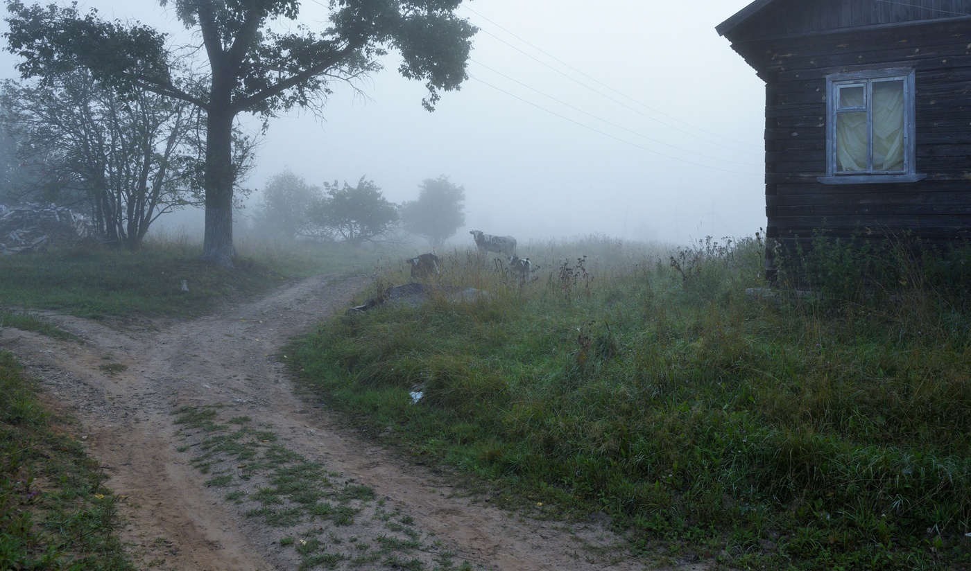 Утро в деревне ...