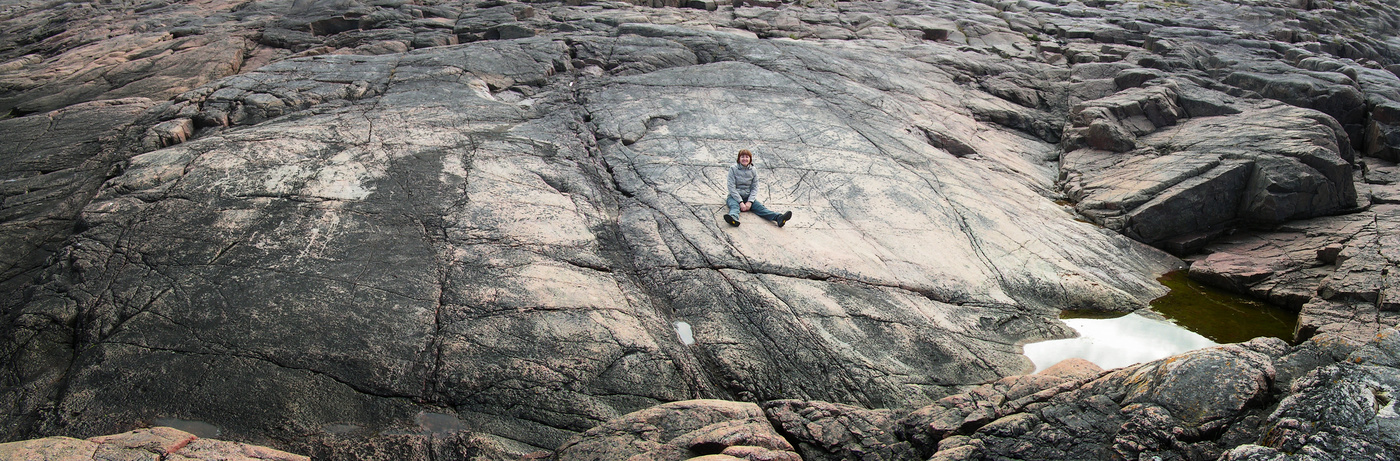 "А теперь покатай меня, большая черепаха!"