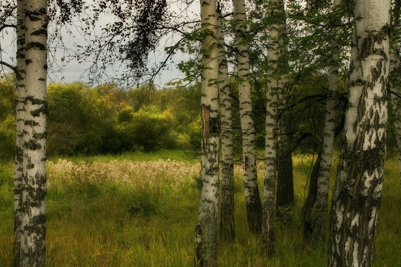 *ТЕПЛЫЙ ВЕЧЕР.**