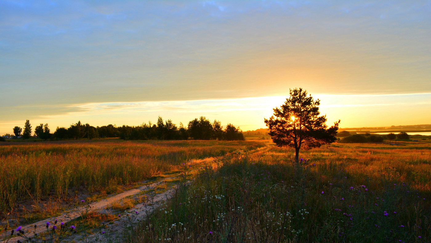 Утренняя дорога