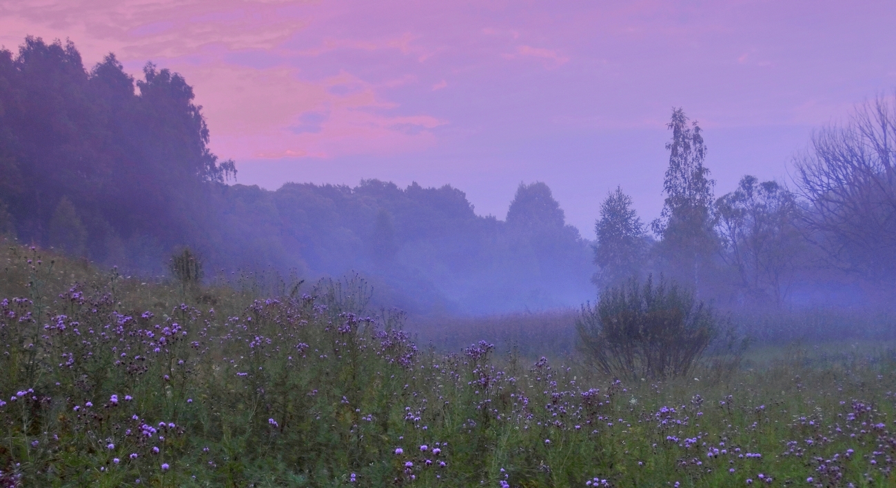 Раннее, жаркое и туманное утро