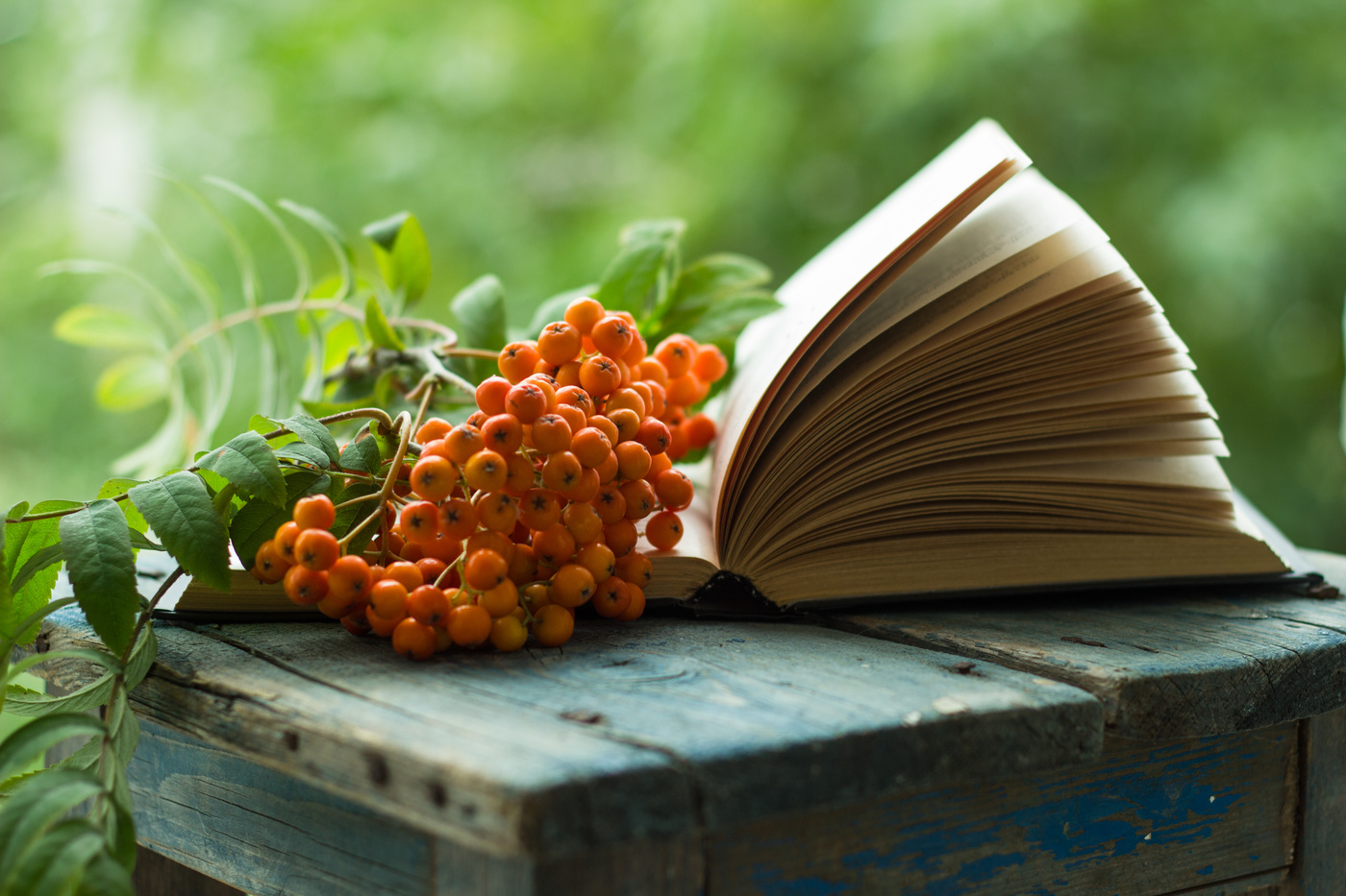 осенний роман