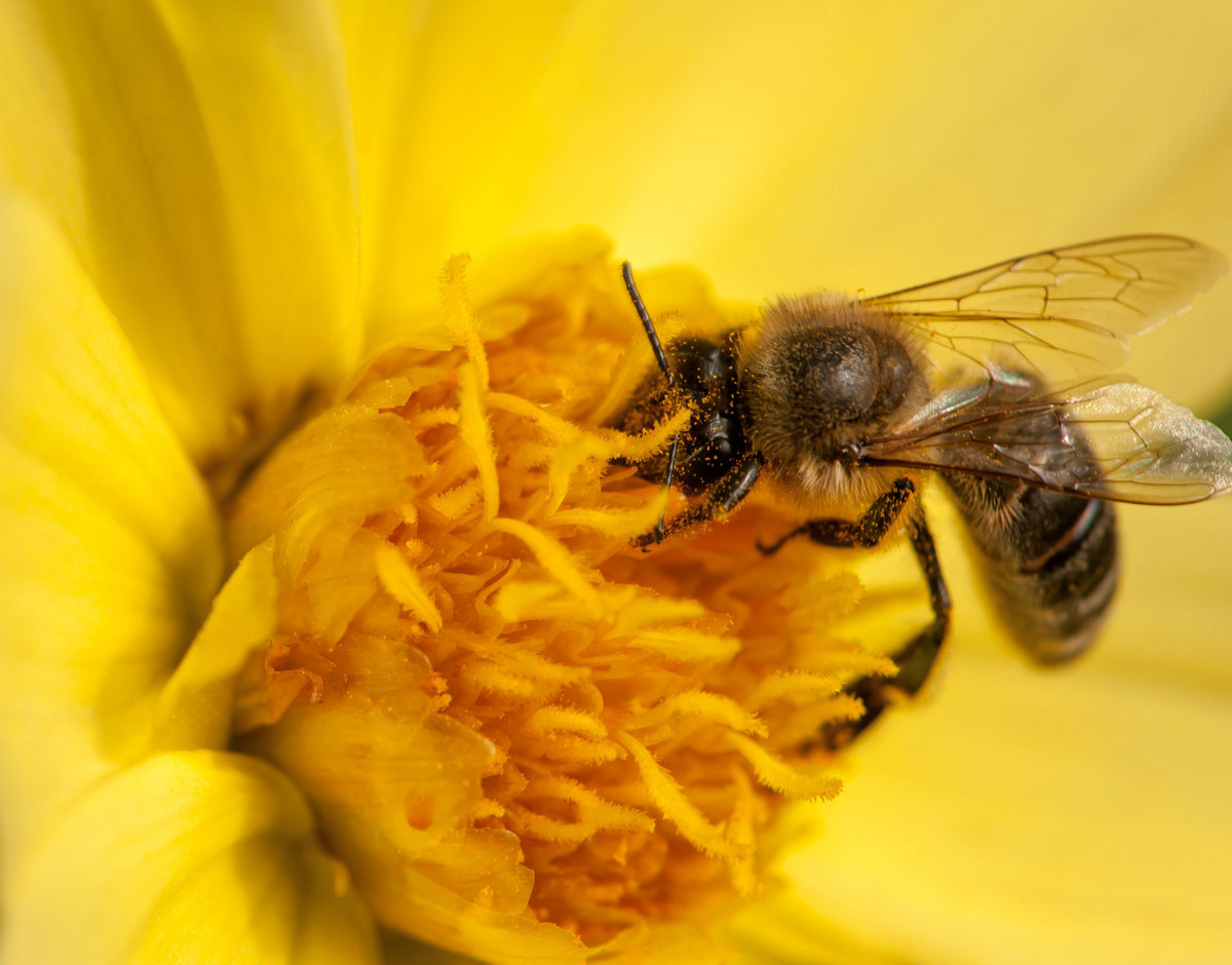 Работа идёт...