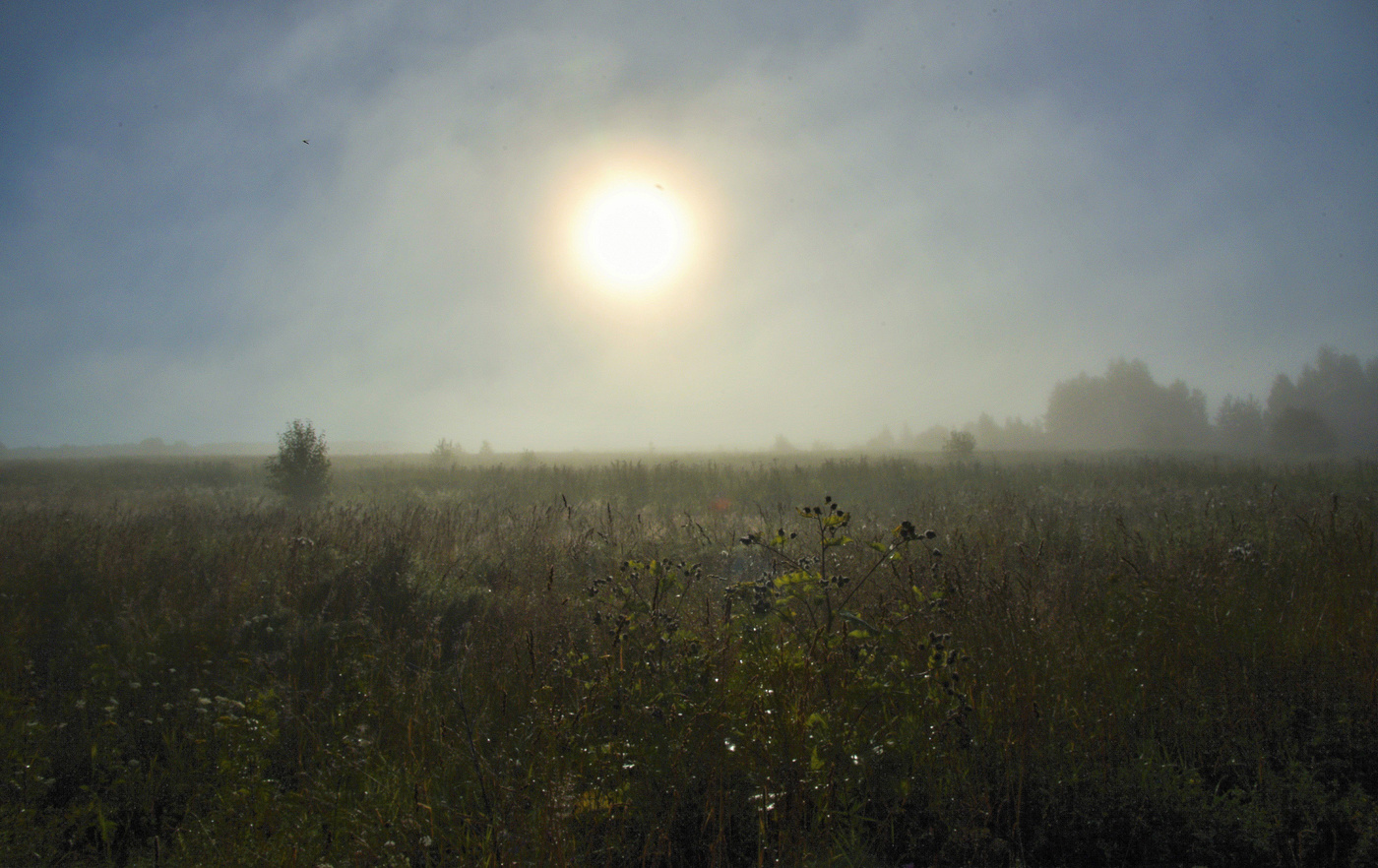 Утрений этюд ...