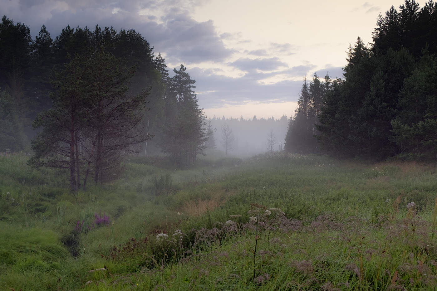 Берендеево царство