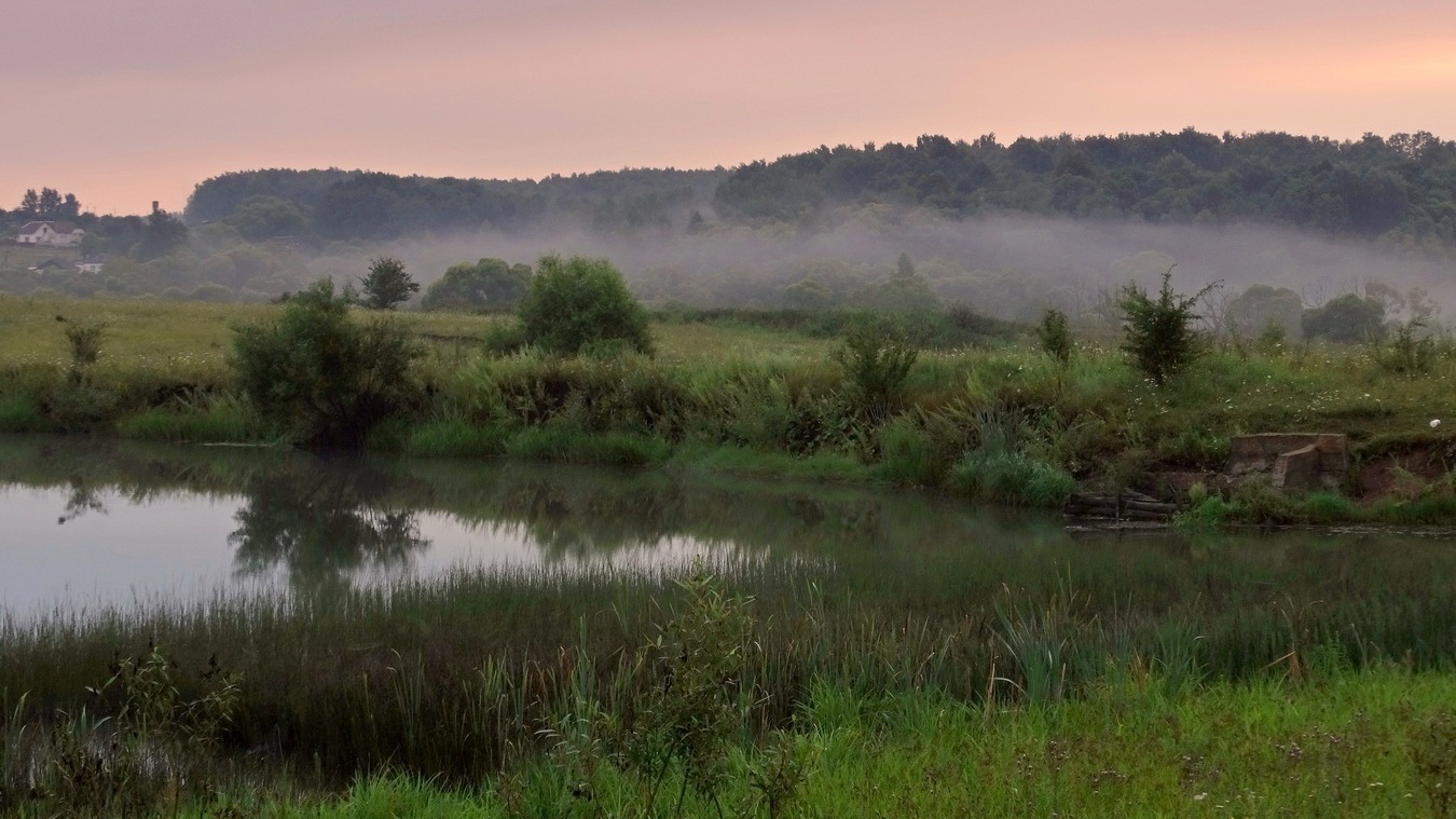 Утром на пруду