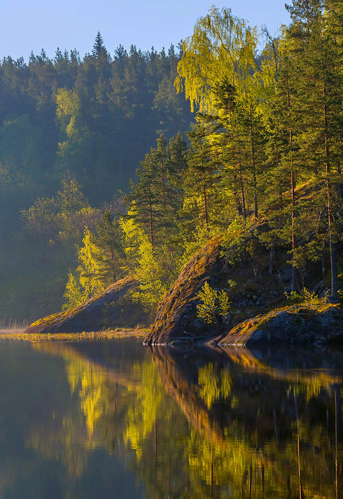 Утренний свет