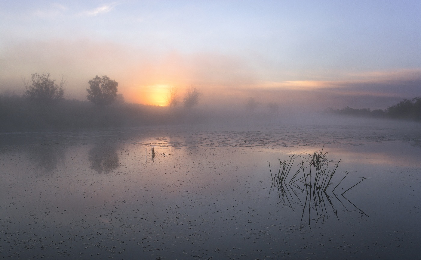 Утренний свет.