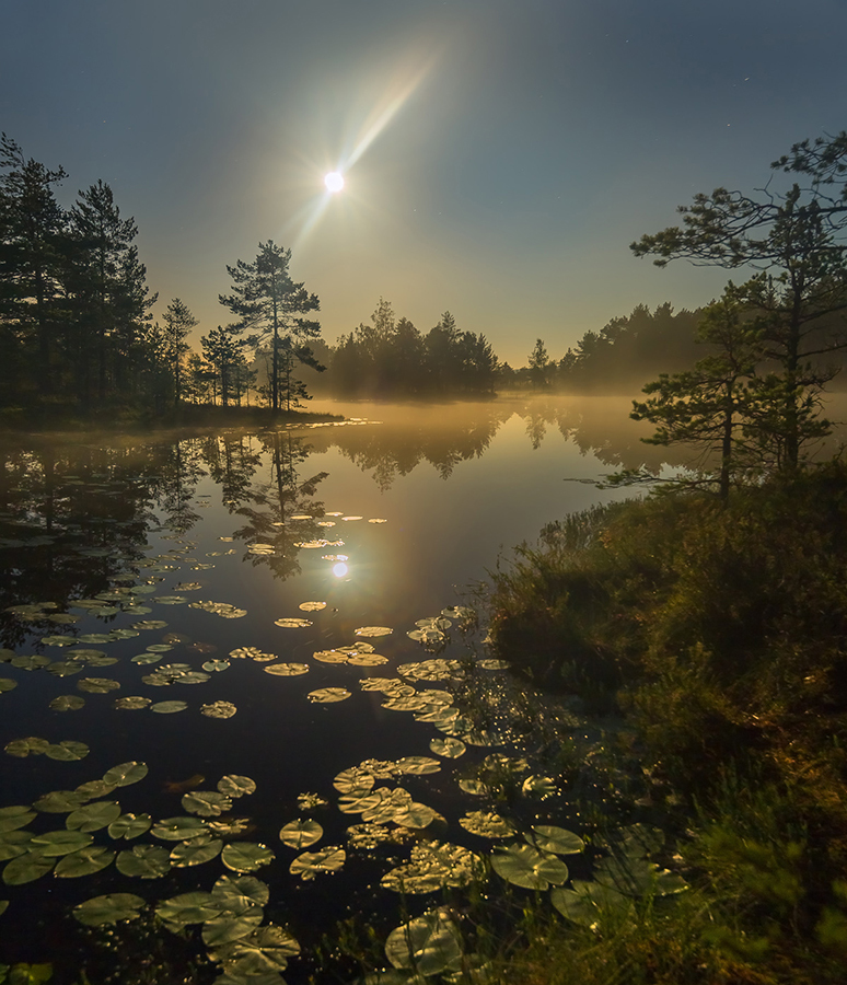 Полнолуние на озере