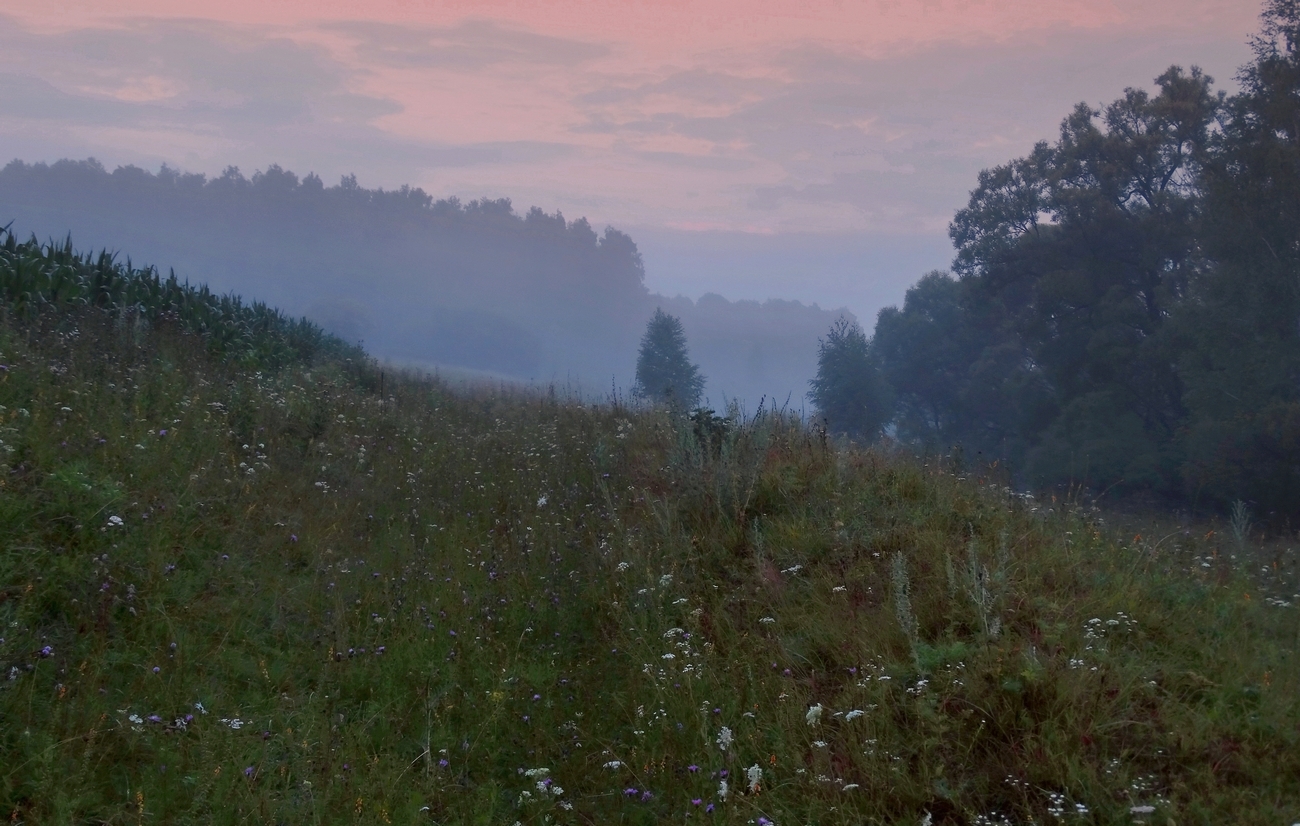 Утро туманное