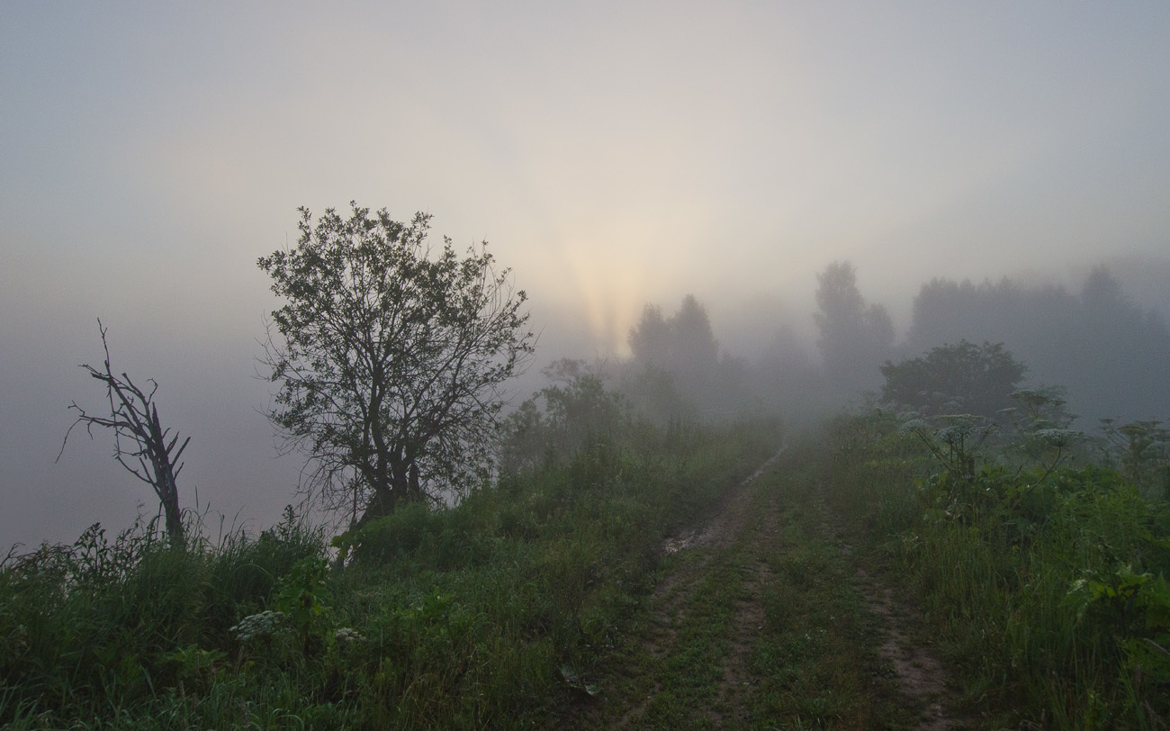 Лишь только забрезжит рассвет