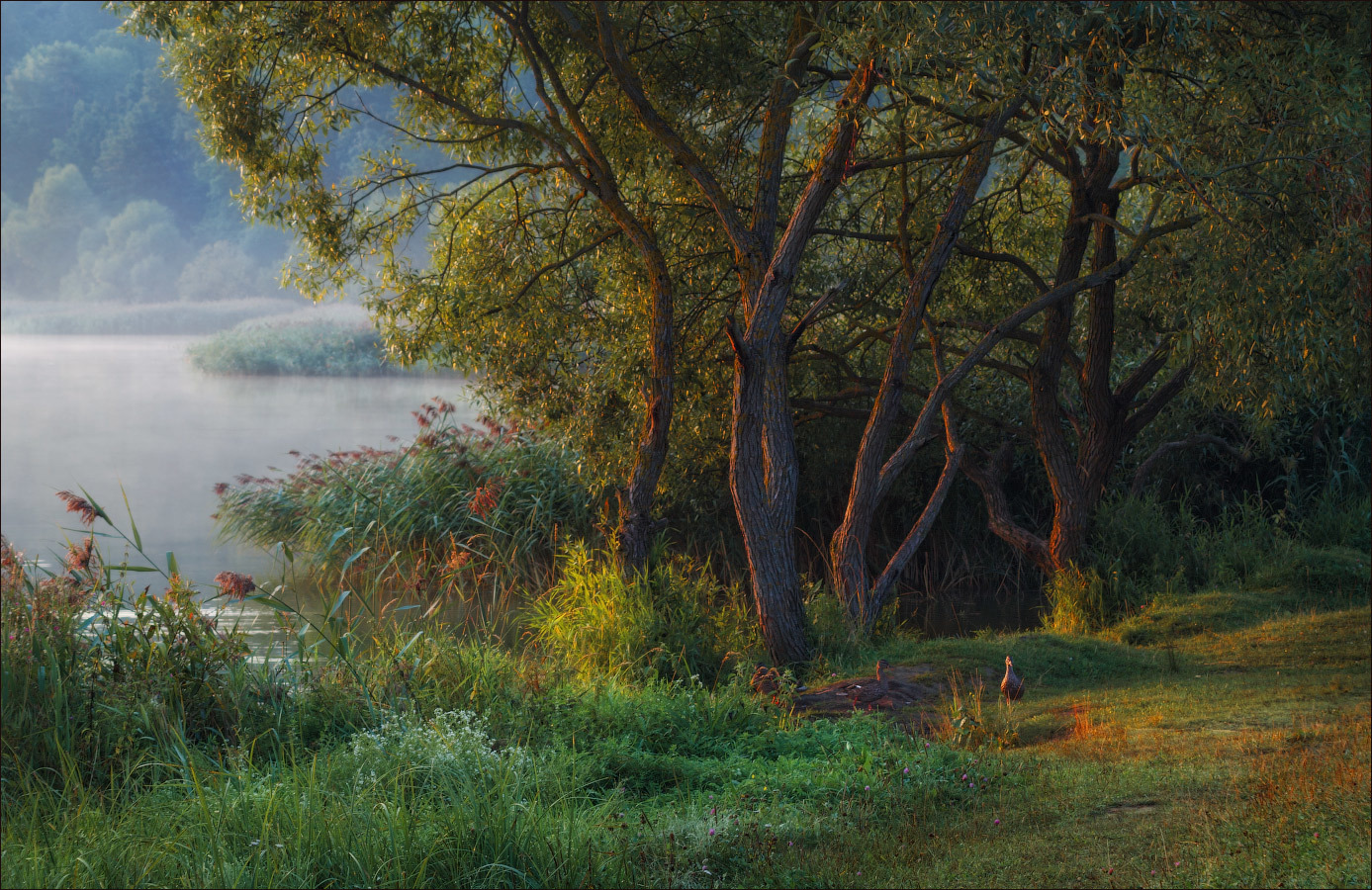 У озера на рассвете