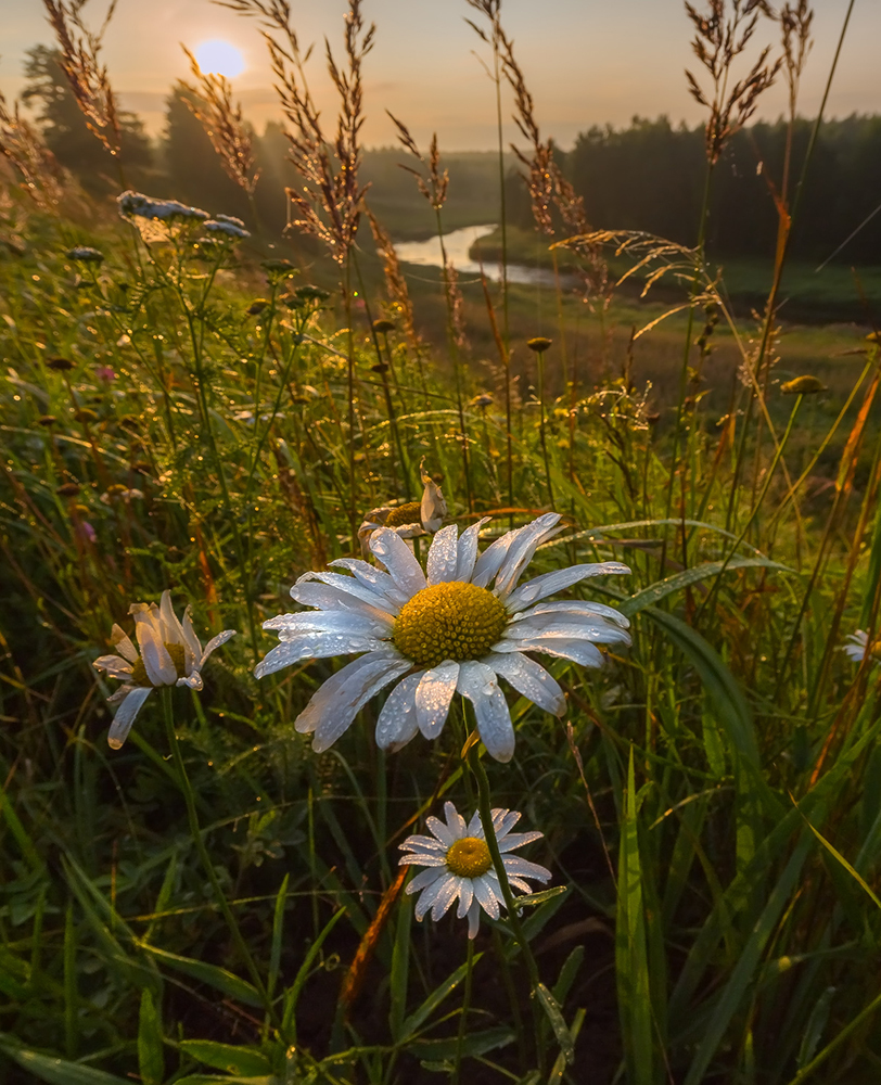 Чудо мгновения