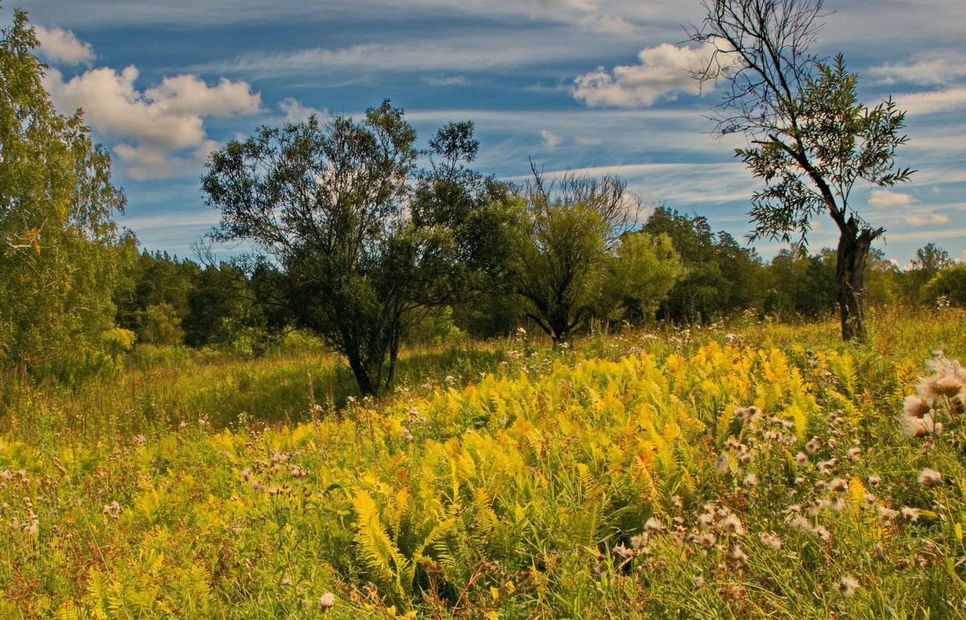 СКОРО ОСЕНЬ.