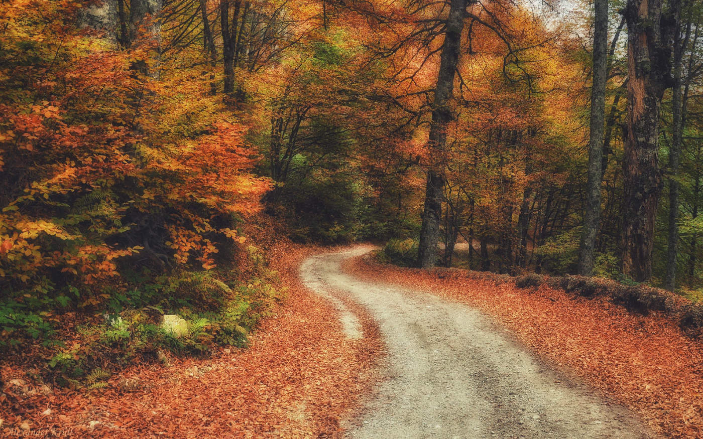 С рыжей спутницей по горной дорожке...