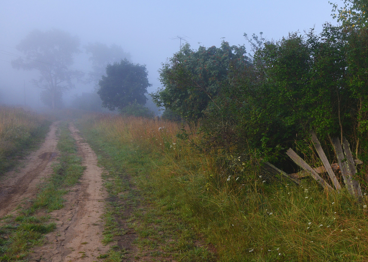 "Опять я теплой грустью болен..."
