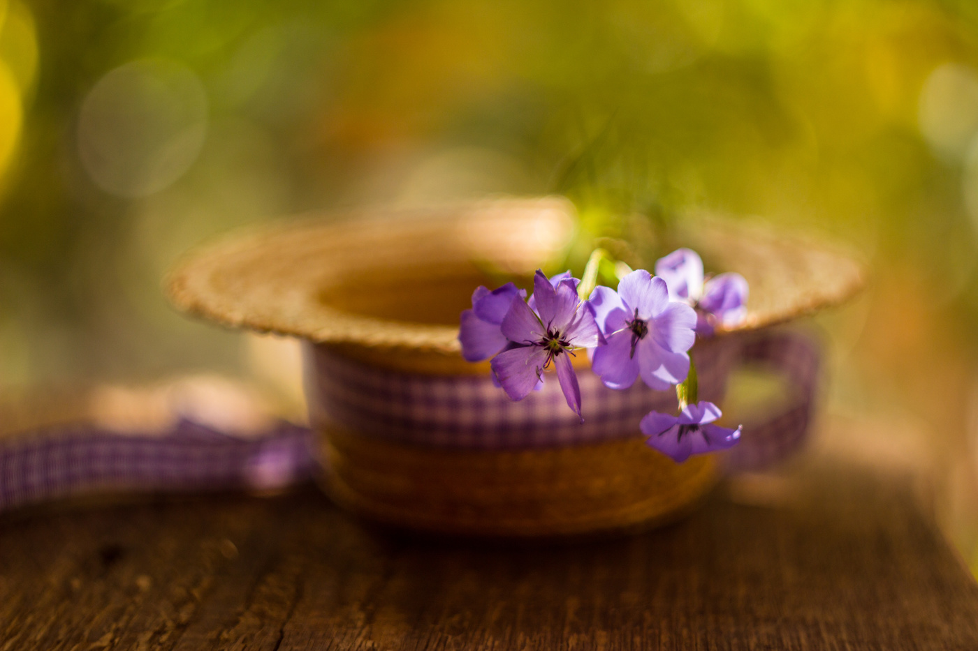 ...о Лете уходящем грусть...