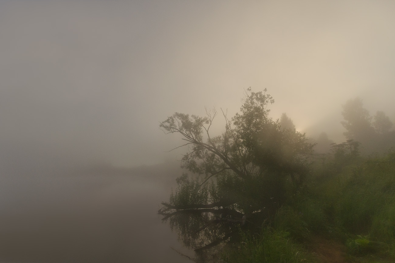 Туманный этюд