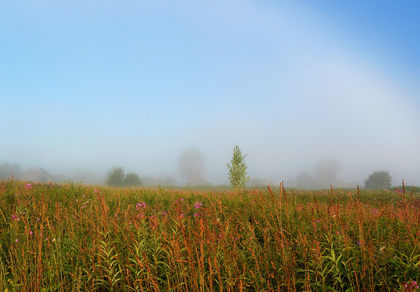 Постепенно туман рассеивался ...