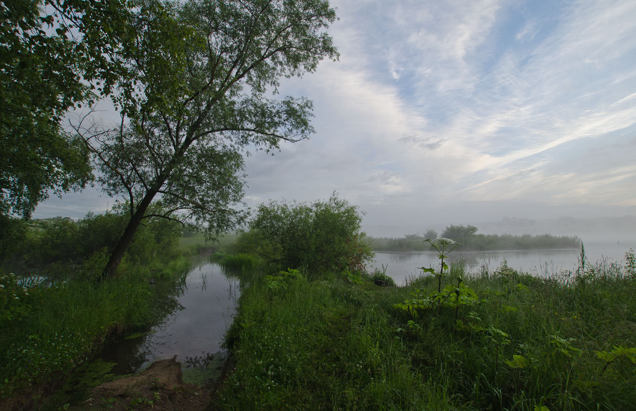 Утро на заливе