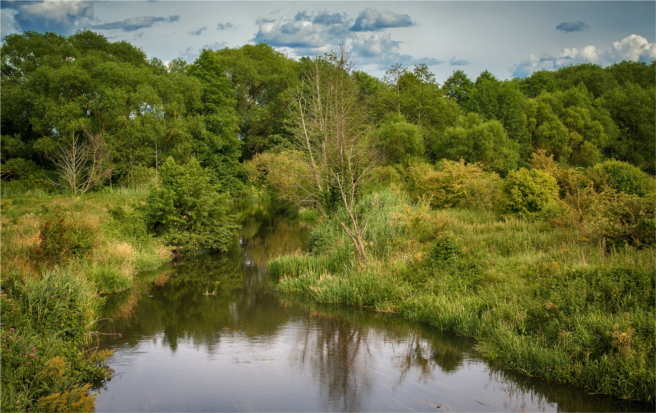 Спокойная речка