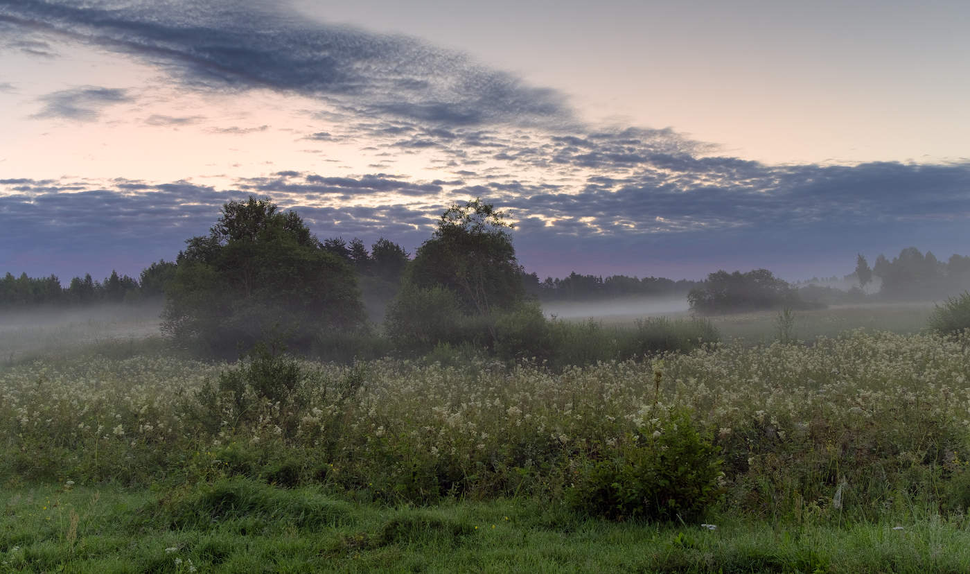 Туман над летним лугом