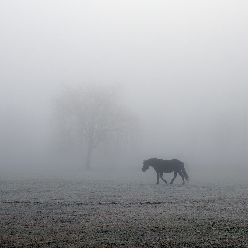 Пятничная доминанта