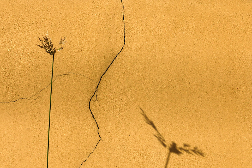 Пятничная доминанта