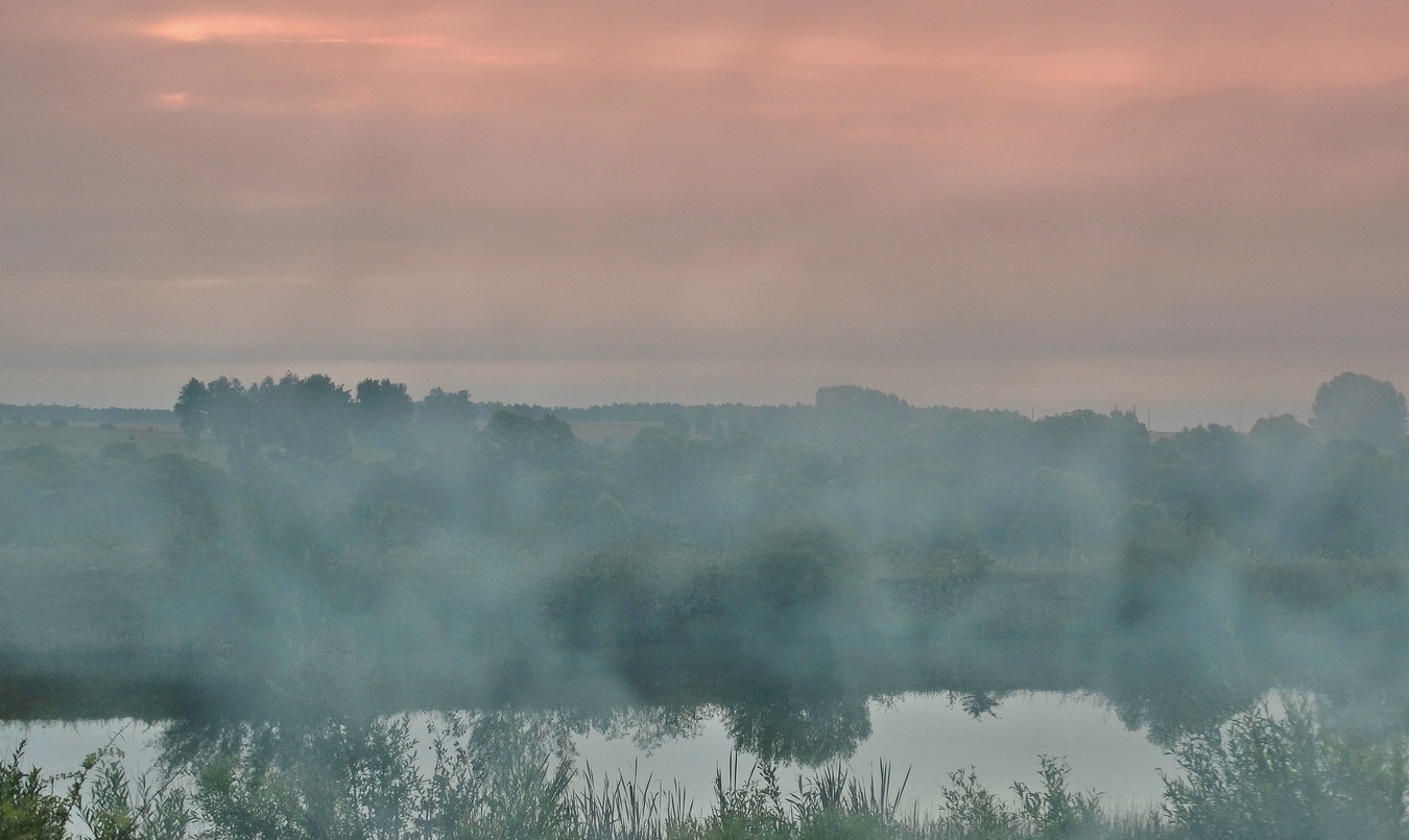 Утро летнее, туманное