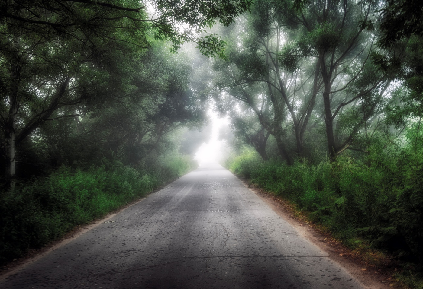 А я еду за туманом.