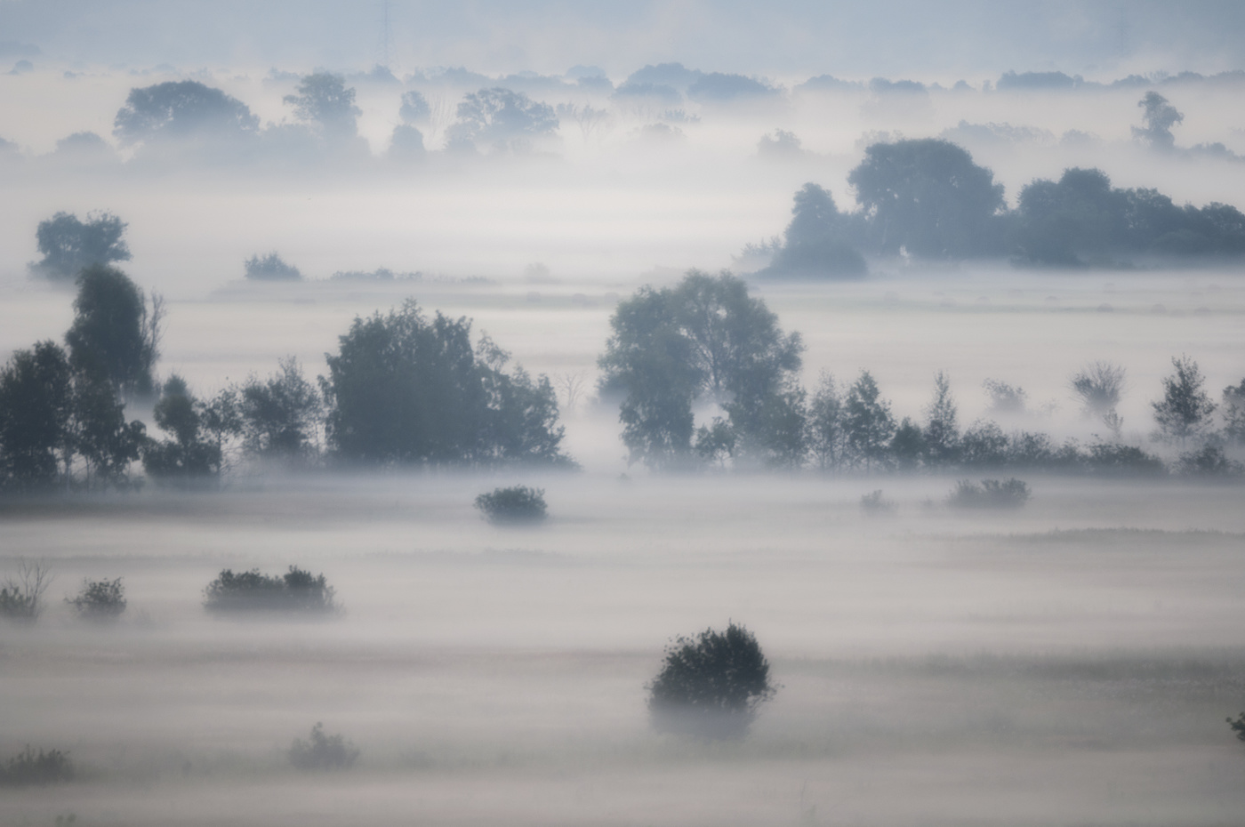 Туман по утру