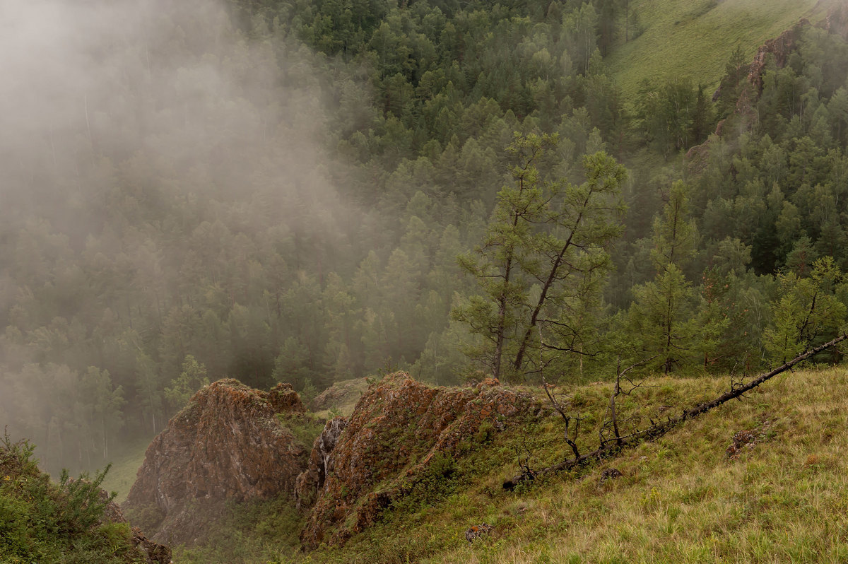 Жизнь продолжается...